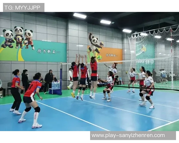 2026年3月份新闻广州排球队的默契配合与战术分析探讨排球运动的魅力与团队精神
